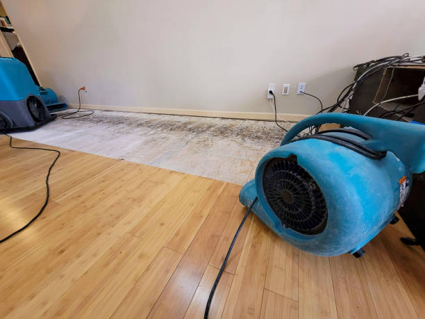 Professional Water Extraction technician working in Oakland Gardens, NY